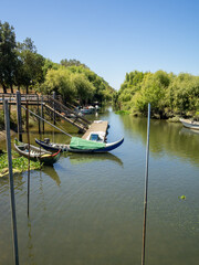 Obraz premium Fishing canoes docked in a stilt pier in Tagus river