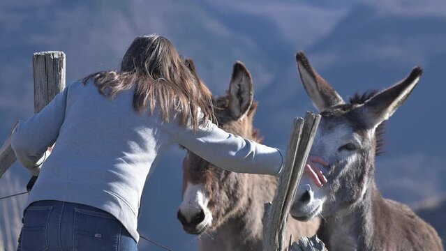 ESCURSIONE IN MONTAGNA