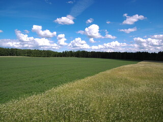 Nature, green, lake, wood, sunny, countryside, clouds, sky, summer