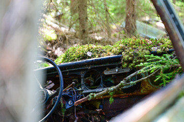 Interieur of Old cars in wild nature on the Kyrko Mosse Car Cemetery, former junkyard, in the...