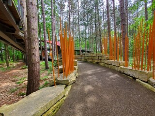 stone bridge in the woods