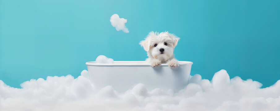 Happy wet dog taking a bath. Cute puppy in a bathtub with soap foam and bubbles. Pets cleaning or washing concept