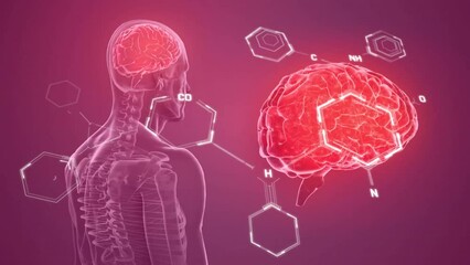 Animation of chemical formula over digital human and brain - Powered by Adobe