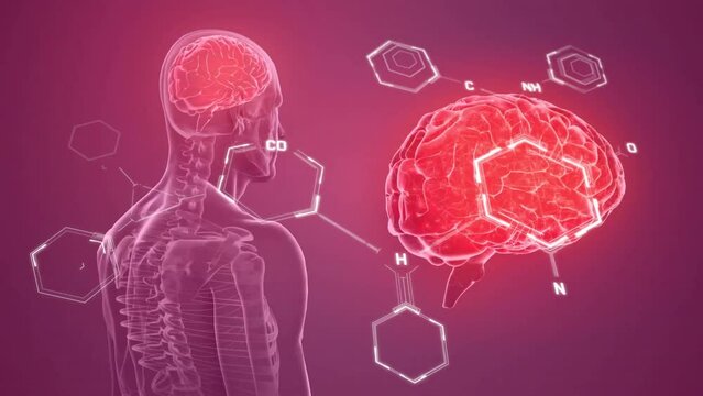 Animation of chemical formula over digital human and brain