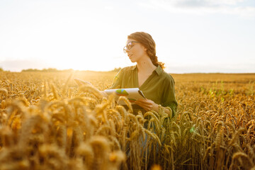 Young woman in a golden wheat field with a clipboard checks the growth and quality of the crop....