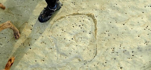 Fossilized Dinosaur Footprints on Bexhill Beach, East Sussex