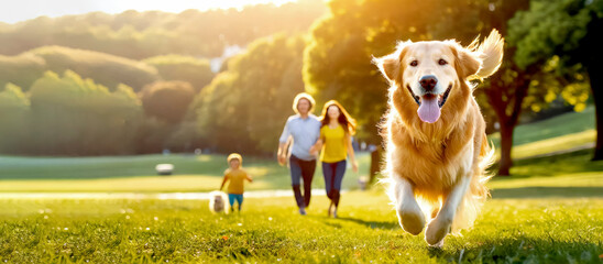 Golden Retriever rennt im Park seine Familie hinterher 