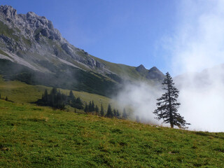 A spruce grows on the stony slope of the mountain. Hiking routes. Beautiful mountain landscape with blue sky