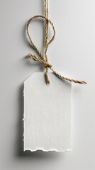 A piece of white paper securely tied up with a thick rope, creating a bundled and secured appearance on a white background.