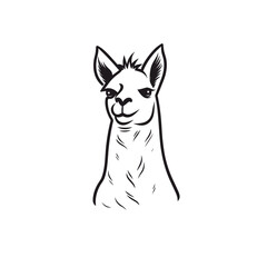 head of lama or alpaca black and white vector illustration isolated transparent background logo, cut out or cutout t-shirt print design