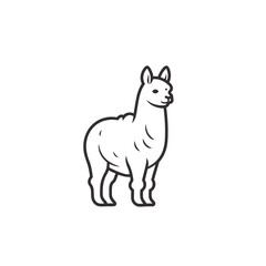 lama or alpaca black and white vector illustration isolated transparent background logo, cut out or cutout t-shirt print design