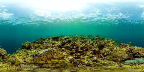 Fototapeta na wymiar Coral reef ecosystem. Underwater world scenery of colorful fish and corals. Equirectangular panoramic.