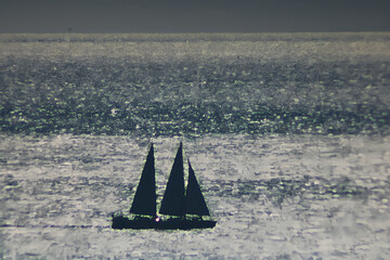 sailing in the sea