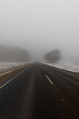 beautiful snow-covered road during fog in winter