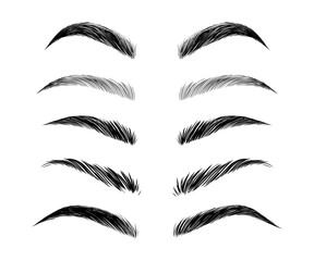 Eyebrows Vector Set. Beauty Collection Female Woman Girl Brows Different Form and Types. - 747623880