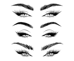 Vector set beautiful female eyes with long black eyelashes and brows close up. - 747624027
