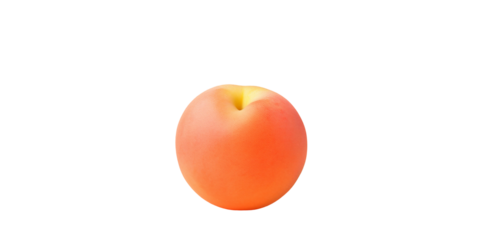 A banner with an orange isolated peach on a peach fuzz color on transparent background, png. Fruit, Copy space