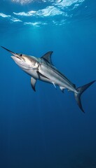 Fototapeta premium Summer composition. Swordfish swimming in the clear waters of the ocean. Vertical format. Concept for design, poster, fishing, recreation related to the sea or ocean.