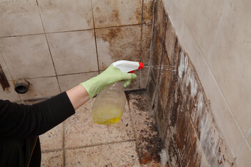 Female hand in protective glove spraying cleaning solution to dirty tiles, messy and dirty bathroom, very bad condition