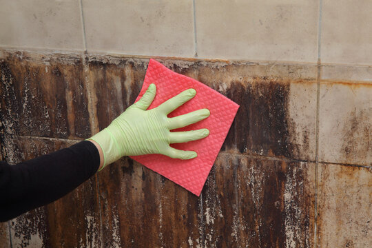 Female hand in protective glove cleaning dirty tiles using sponge wipe scrub pad, messy and dirty bathroom, very bad condition
