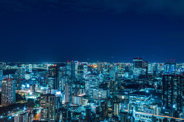 Panoramic view of Tokyo tower and Tokyo central area city view at magic hour.