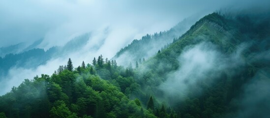 Clouds envelop the peaks of a lush green mountain, creating a misty ambiance, while trees stand in the foreground.