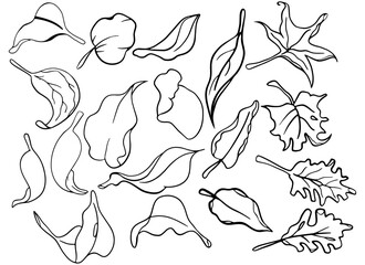 multiple leaves graphic design illustration