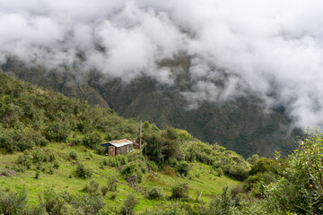 landscape in the morning fog