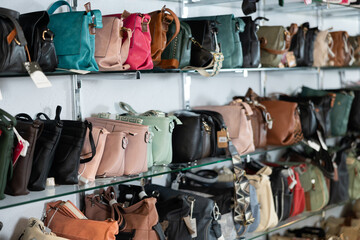Accessories showcase presents classic and elongated models of lady handbag. In lady clothing store,...