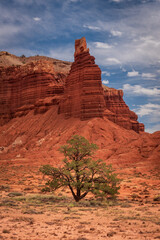Colourful scenic views captured in Capitol Reef National Park, Utah.