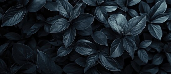 A close-up photograph showcasing a multitude of leaves, perfect for wallpaper and background purposes.