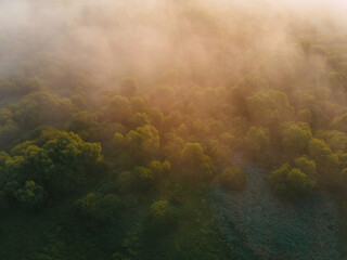 aerial view of the landscape