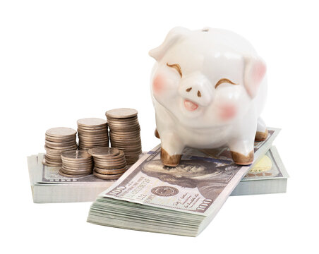 Piggy bank ,money coins and dollar bill on transparent background.saving money concept.