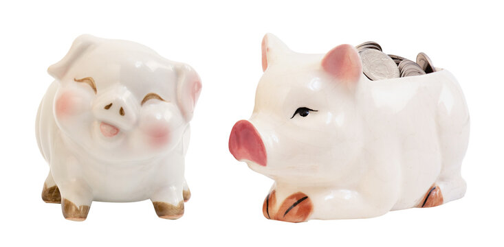 Money coins and piggy bank on transparent background. Investing is risky concept.