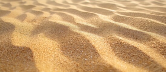 A captivating image of a persons shadow cast on the textured beach sand background.