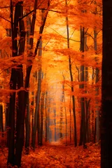 Papier Peint photo Lavable Rouge Spectacular Display of Autumn Colors in the Deep Forest during Peak Season