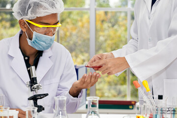 Close-Up of Laboratory Analysis by Lab partners collaborating over a chemical sample..