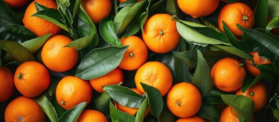 This photo showcases a variety of vibrant oranges with fresh green leaves attached to them, creating a visually pleasing display of natures bounty. - obrazy, fototapety, plakaty