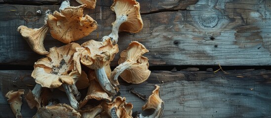 A collection of dried wild mushrooms arranged on top of a weathered wooden table.