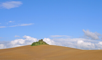 Small fallow hill in the undulating Tuscan fields with blue sky and white clouds on a spring day in the Crete Senese in Tuscany, Italy