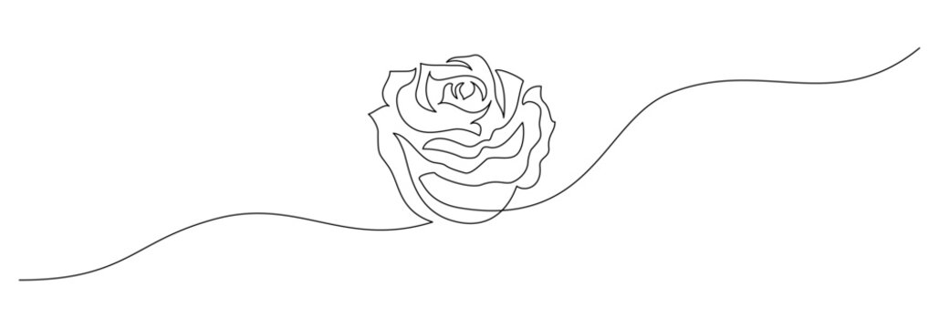 One continuous line drawing of Rose flower. Peony blossom with petals for floral tattoo in simple linear style. Plant pattern for wedding decoration in Editable stroke. Outline vector illustration