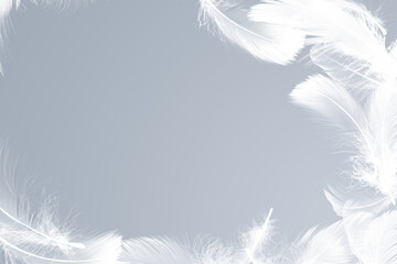 Fluffy bird feathers in air on grey background, space for text