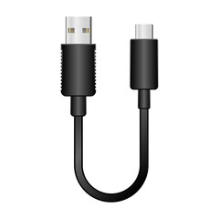 Obraz premium シンプルなイラスト_黒い変換ケーブル_USB Type-A 2.0からUSB Type-C