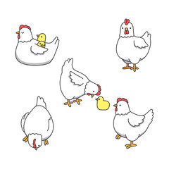 chickens on a white background, vector illustration, eps