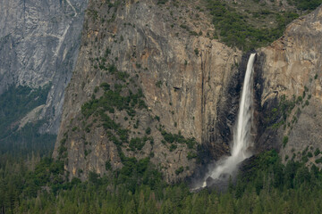 Pine Forest Grows Green From The Water Of Bridalveil Falls In Yosemite