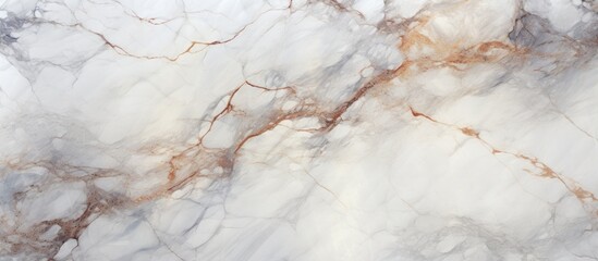 This close-up view showcases the intricate details of a marble textured surface, featuring high resolution Italian marble slab. The texture resembles limestone, with a grungy stone texture up close,