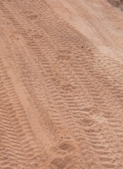 Leopard tracks on main dusty road in Yala National Park, Sri Lanka