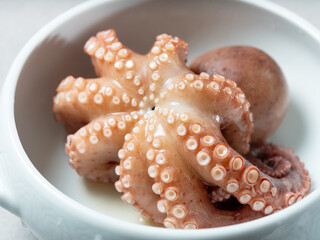 Boiled octopus on a plate © mnimage