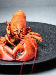 lobster on a plate