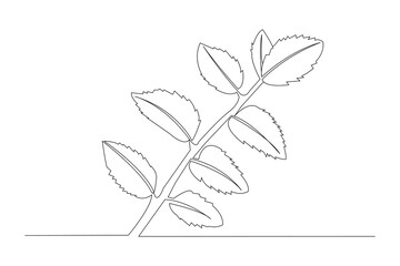 Leaves branch continuous one-line art vector illustration. Leaf outline vector isolated on white background.